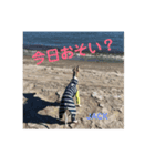 ジャックの挨拶（個別スタンプ：1）