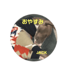 ジャックの挨拶（個別スタンプ：3）