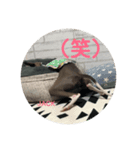 ジャックの挨拶（個別スタンプ：6）
