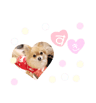 ひまわりスタンプ♡（個別スタンプ：7）