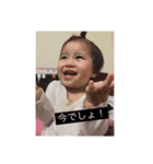 カイラたん（個別スタンプ：1）