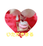 愛犬まる君（個別スタンプ：4）