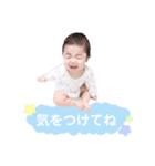成儀くんスタンプ3（個別スタンプ：17）