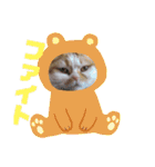 ミーちゃんのスタンプ（個別スタンプ：20）