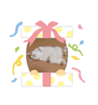 ミーちゃんのスタンプ（個別スタンプ：24）