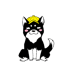 子犬のジロウ（個別スタンプ：1）