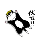 子犬のジロウ（個別スタンプ：10）