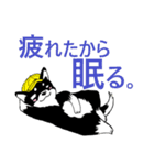 子犬のジロウ（個別スタンプ：11）