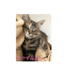 ＊ショコラの日常＊（個別スタンプ：4）