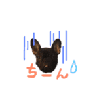 チャーリーと愉快な仲間たち ver.1（個別スタンプ：4）