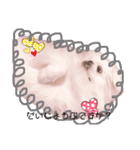 ペキニーズはお（個別スタンプ：17）