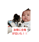 パピヨンチョコ君赤ちゃん郁弥君（個別スタンプ：1）