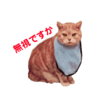 我が家の猫と犬♡（個別スタンプ：2）