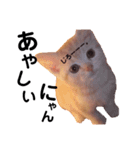我が家の猫と犬♡（個別スタンプ：8）