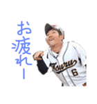 ソフト部55期。（個別スタンプ：29）
