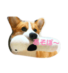 ひで君（個別スタンプ：4）