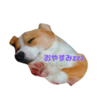 ひで君（個別スタンプ：6）