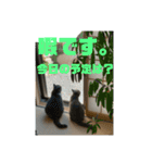 ひじきともやしの毎日（個別スタンプ：2）