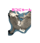 ひじきともやしの毎日（個別スタンプ：11）