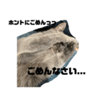 ひじきともやしの毎日（個別スタンプ：15）