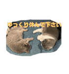 ひじきともやしの毎日（個別スタンプ：19）