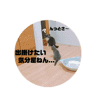 ひじきともやしの毎日（個別スタンプ：23）