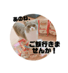 ひじきともやしの毎日（個別スタンプ：24）