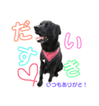ぺえたんと愉快な仲間たち❤（個別スタンプ：1）