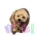 ぺえたんと愉快な仲間たち❤（個別スタンプ：4）