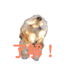 ぺえたんと愉快な仲間たち❤（個別スタンプ：6）
