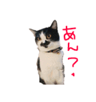 CREA＆LEO（個別スタンプ：11）