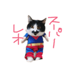 CREA＆LEO（個別スタンプ：12）