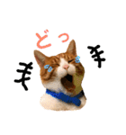 オレ福丸（若頭）（個別スタンプ：3）