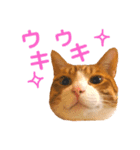 オレ福丸（若頭）（個別スタンプ：4）