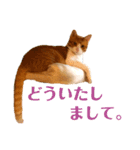 オレ福丸（若頭）（個別スタンプ：5）