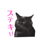 オレ福丸（若頭）（個別スタンプ：6）