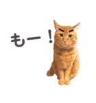 オレ福丸（若頭）（個別スタンプ：9）