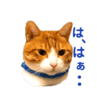 オレ福丸（若頭）（個別スタンプ：11）