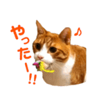 オレ福丸（若頭）（個別スタンプ：16）
