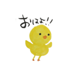 ピヨぴよひよこのスタンプ（個別スタンプ：2）