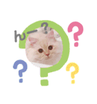 むうちゃん♂（個別スタンプ：5）