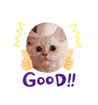 むうちゃん♂（個別スタンプ：11）