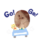 むうちゃん♂（個別スタンプ：12）