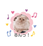 むうちゃん♂（個別スタンプ：16）