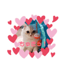 むうちゃん♂（個別スタンプ：17）