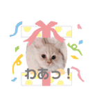 むうちゃん♂（個別スタンプ：18）