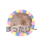 むうちゃん♂（個別スタンプ：22）