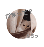 むうちゃん♂（個別スタンプ：23）