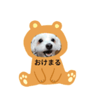 まーたんのペットのスタンプ（個別スタンプ：1）