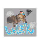 愛犬、翔くん。（個別スタンプ：13）